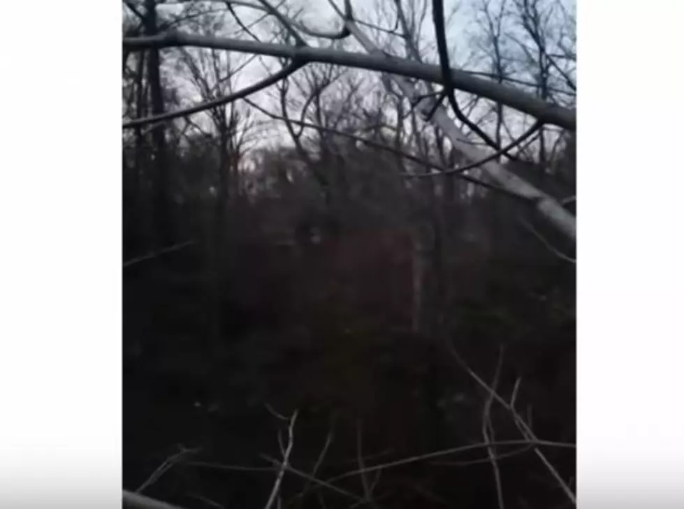 Possible Bigfoot Howls in McLean County, Kentucky [Video]