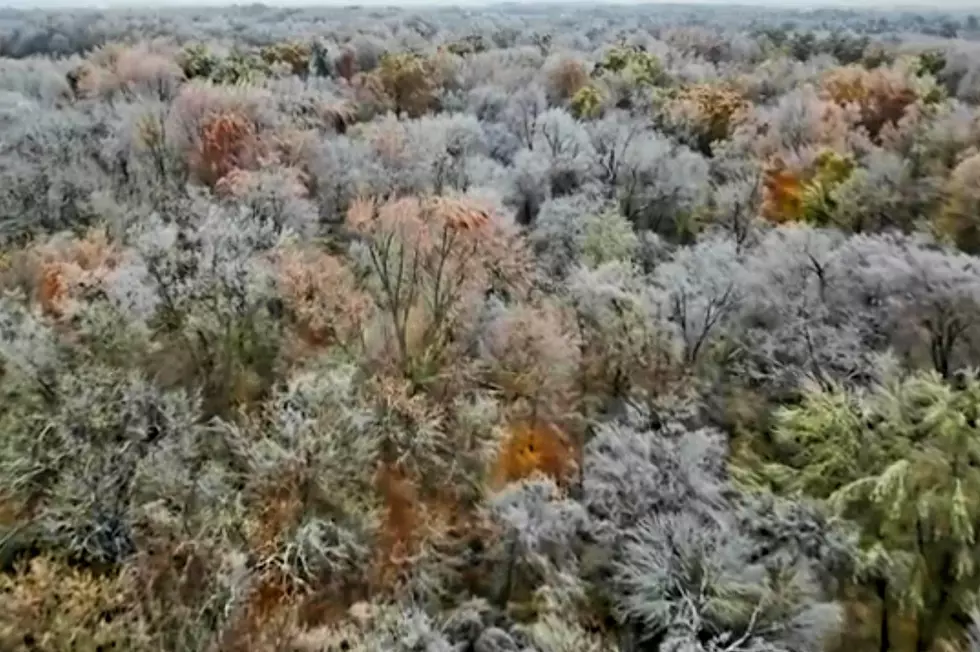 Check Out Drone Footage of Ice-Covered Yellow Creek Park [VIDEO]
