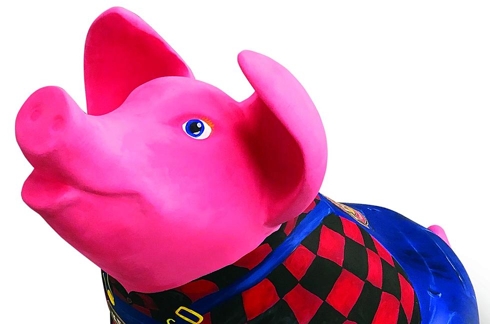 The 2019 Oink for Owensboro Pigs [Photos]