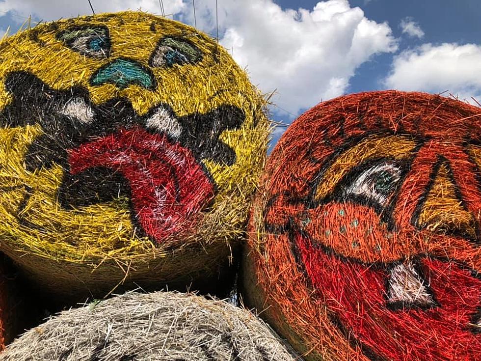 Hay! Have You Seen These Wacky Faces on Hwy 431 in Owensboro? [Photos]