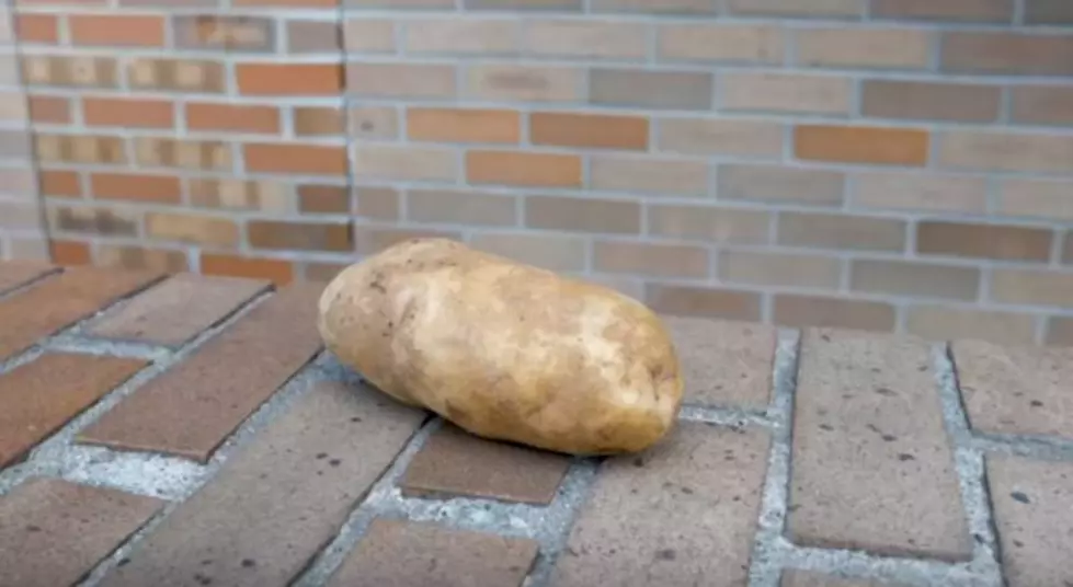 Did You Know You Can Deice Your Windshield with a Potato? [Video]