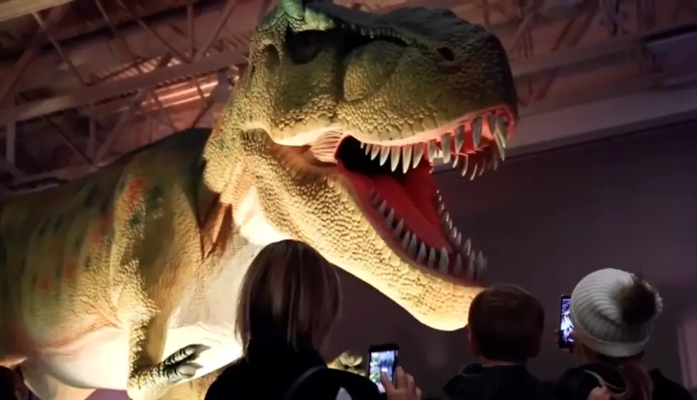 Dinosaur Adventure & Exhibit Coming To Owensboro (PICTURES)