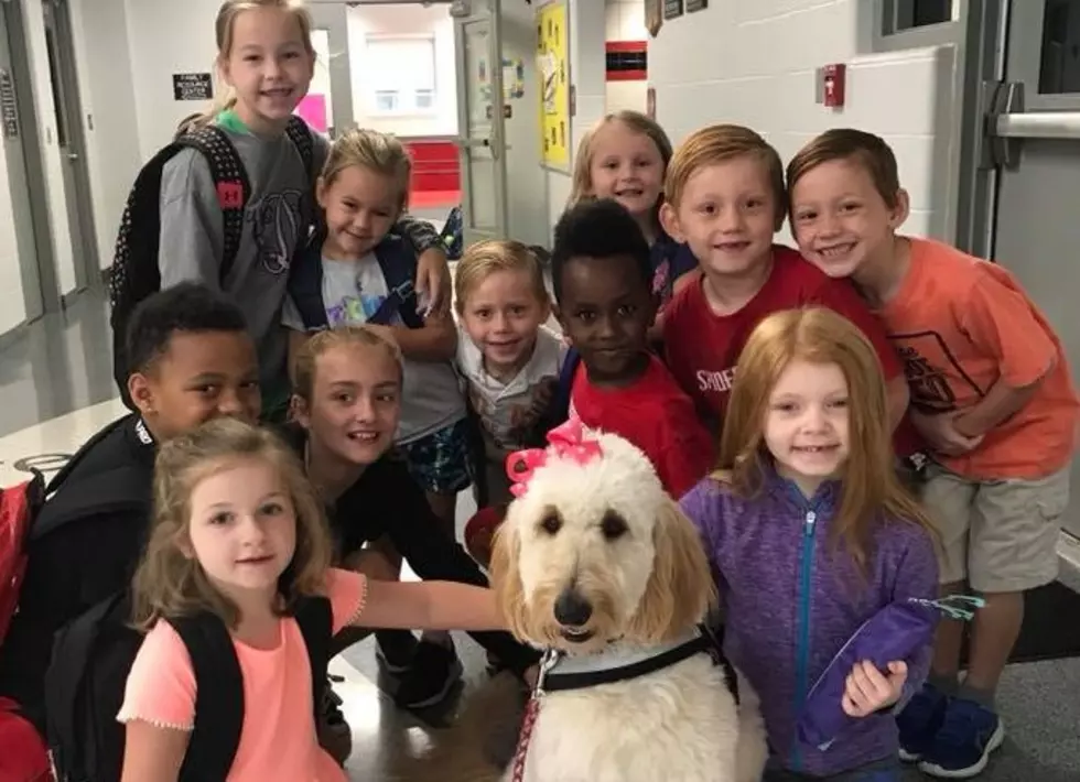 Sutton Elementary Honors Former Teacher Through Pet Supply Drive (PHOTO)