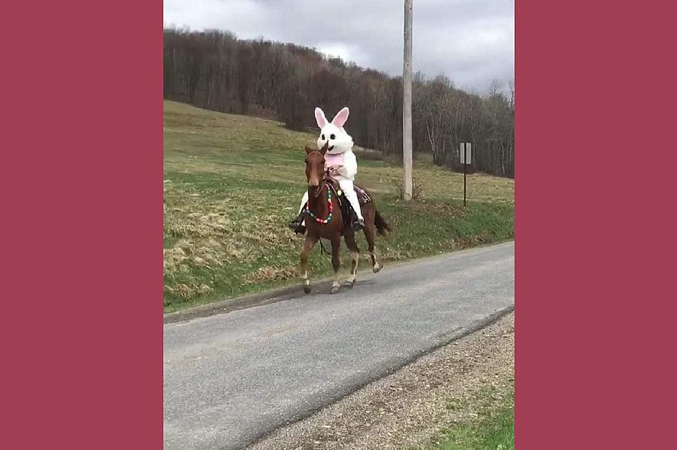The Easter Bunny on Horseback and Other Sightings [VIDEO]