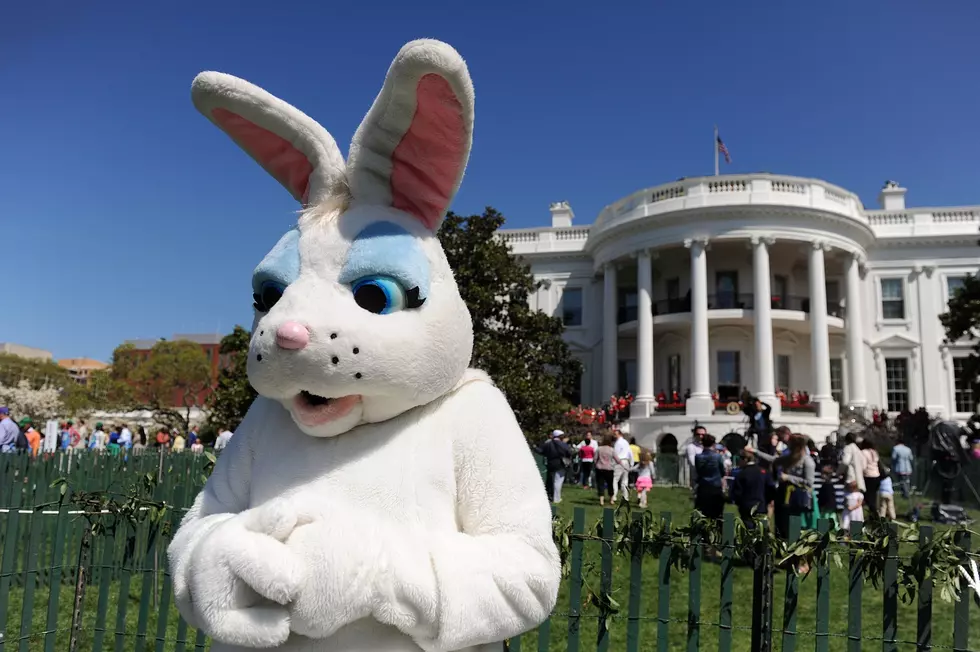 Governor Andy Beshear Declares Easter Bunny Essential Worker