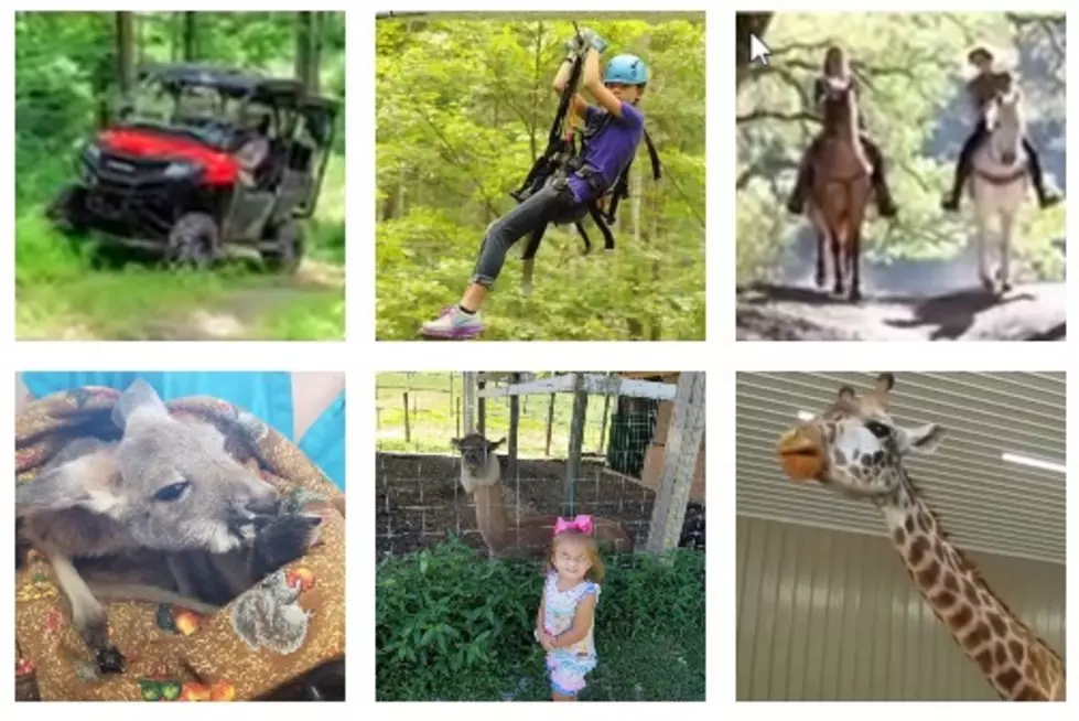 Enjoy Cabin Stays, Animal Encounters, ATV’s & Ziplines All At One Indiana Park (VIDEO)