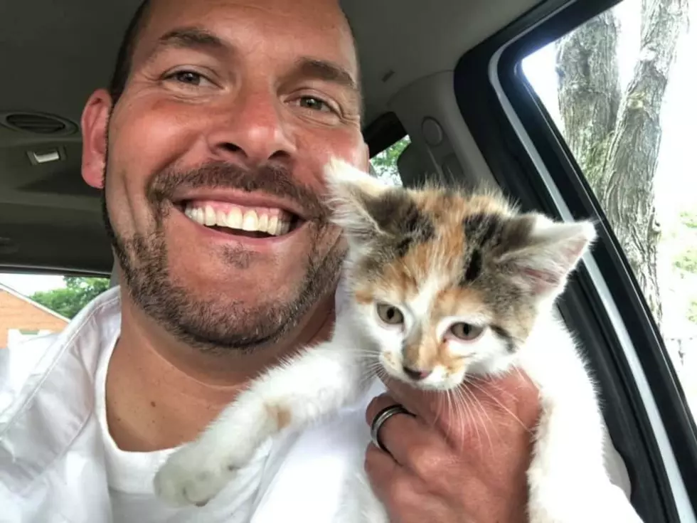 Whatever Happened to the Kitten Chad Rescued on the Natcher? [Photos]