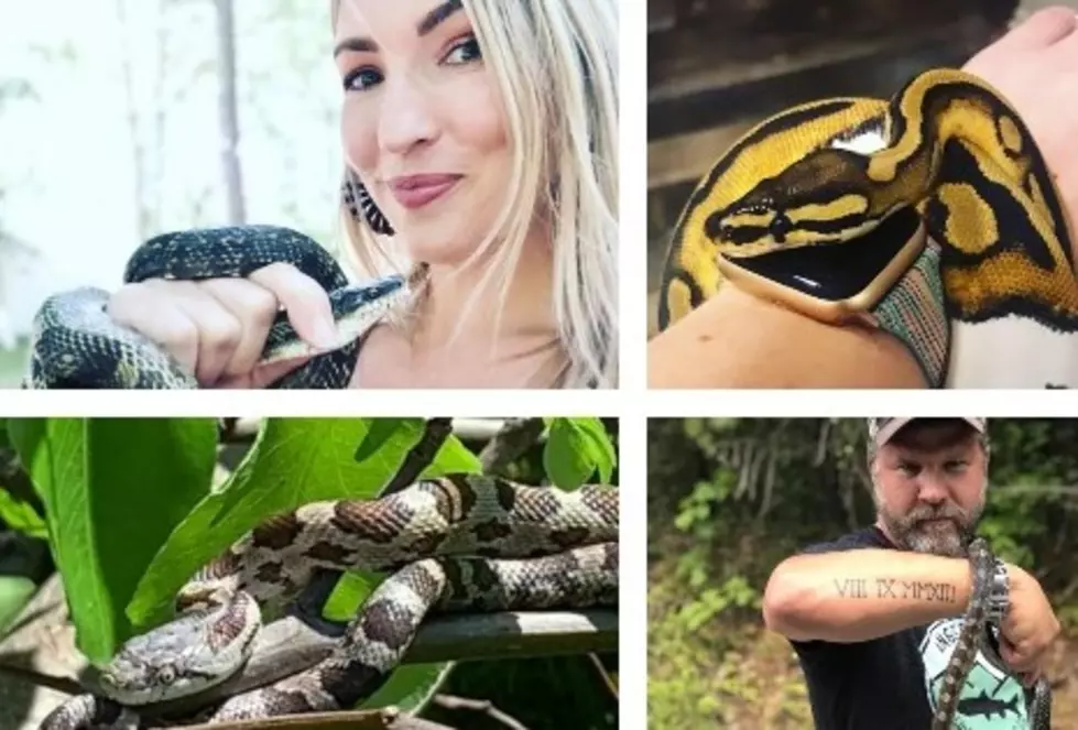 Western Kentucky Snake Encounters