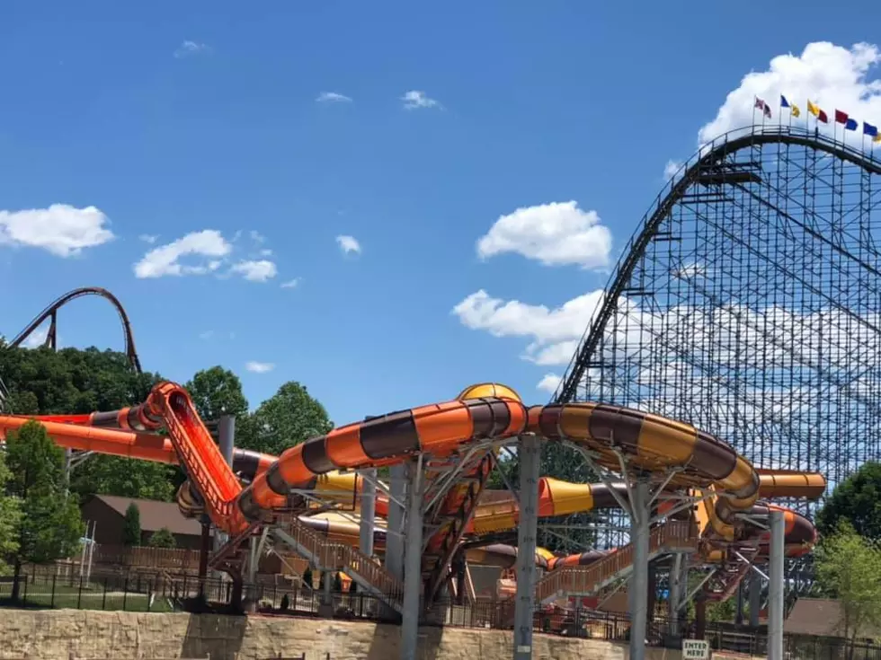 Behind-The-Scenes Photos of Cheetah Chase at Holiday World [Gallery]