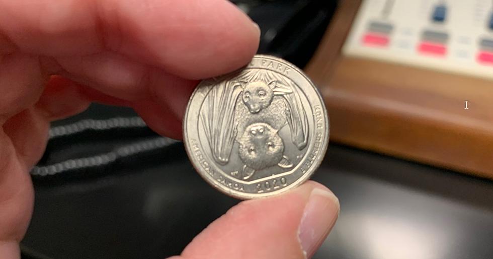IS THAT A BAT ON YOUR QUARTER? 