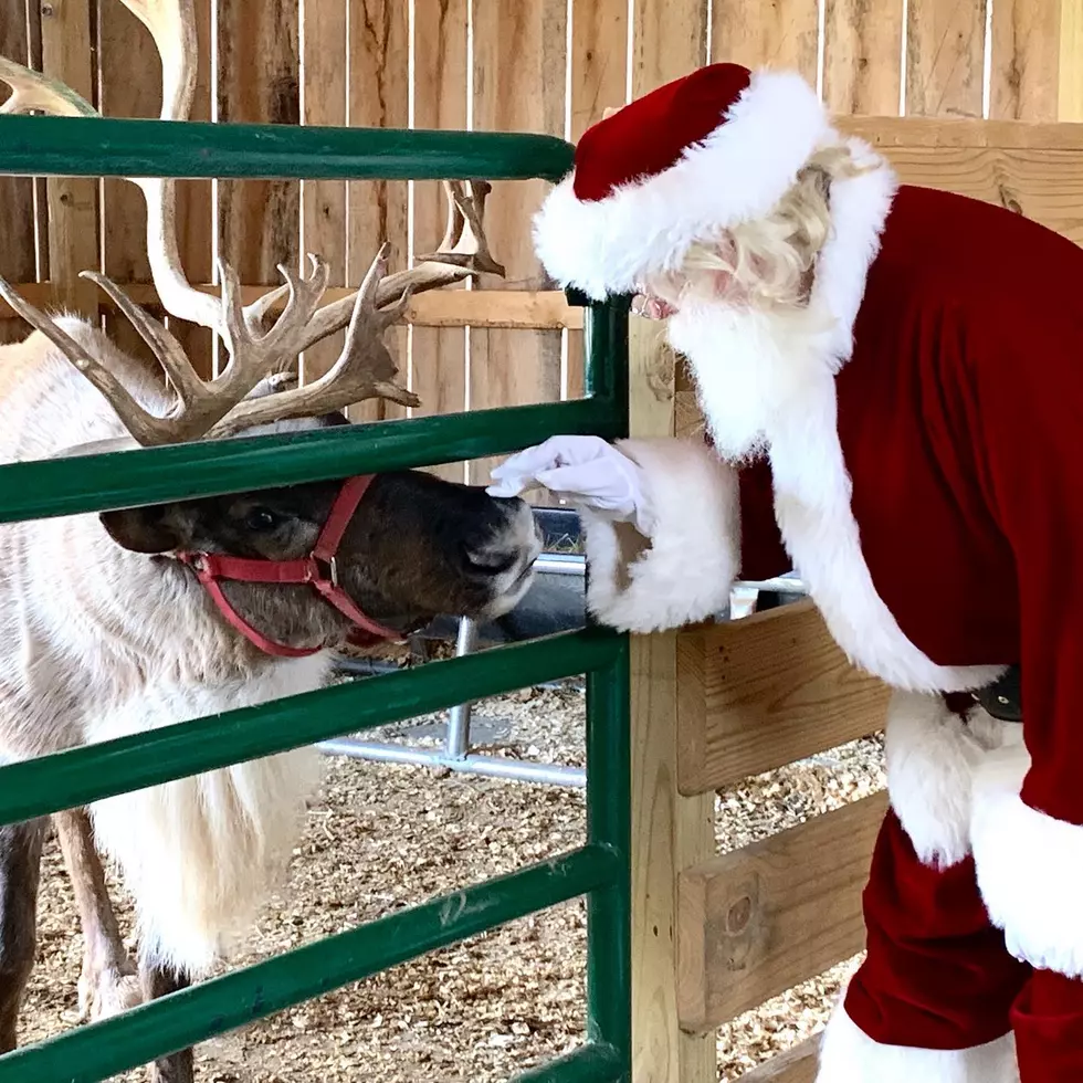 SEE INSIDE:  Santa&#8217;s Bowling Green Kentucky LIVE Reindeer Farm (GALLERY)