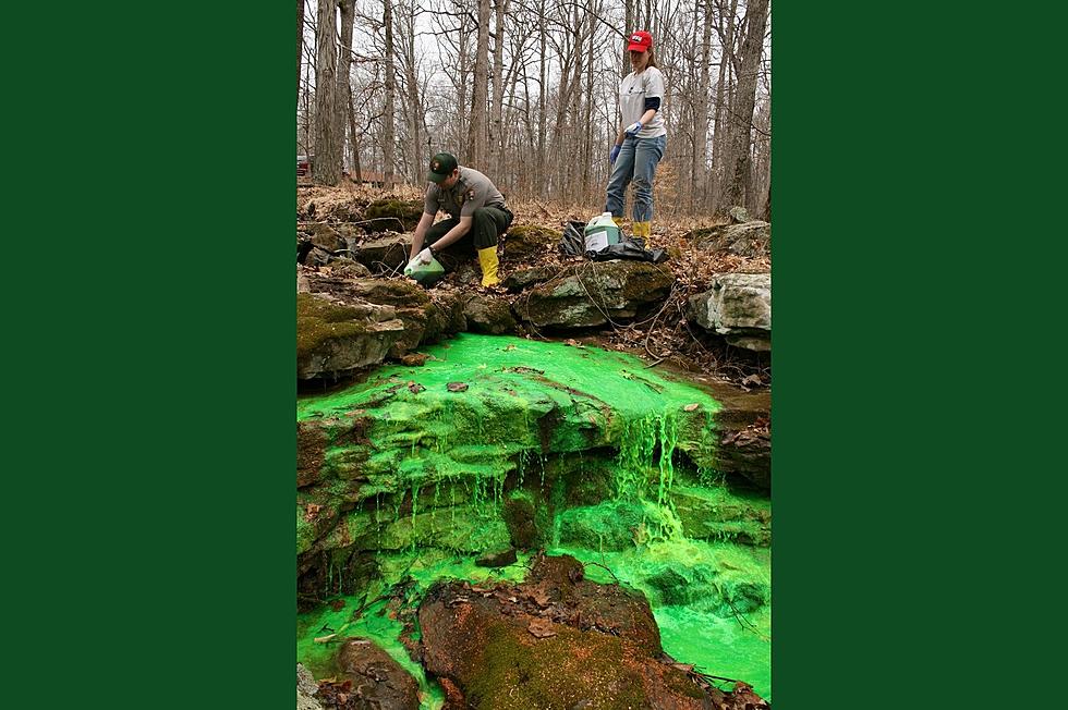 Why Are Mammoth Cave's Streams Green?