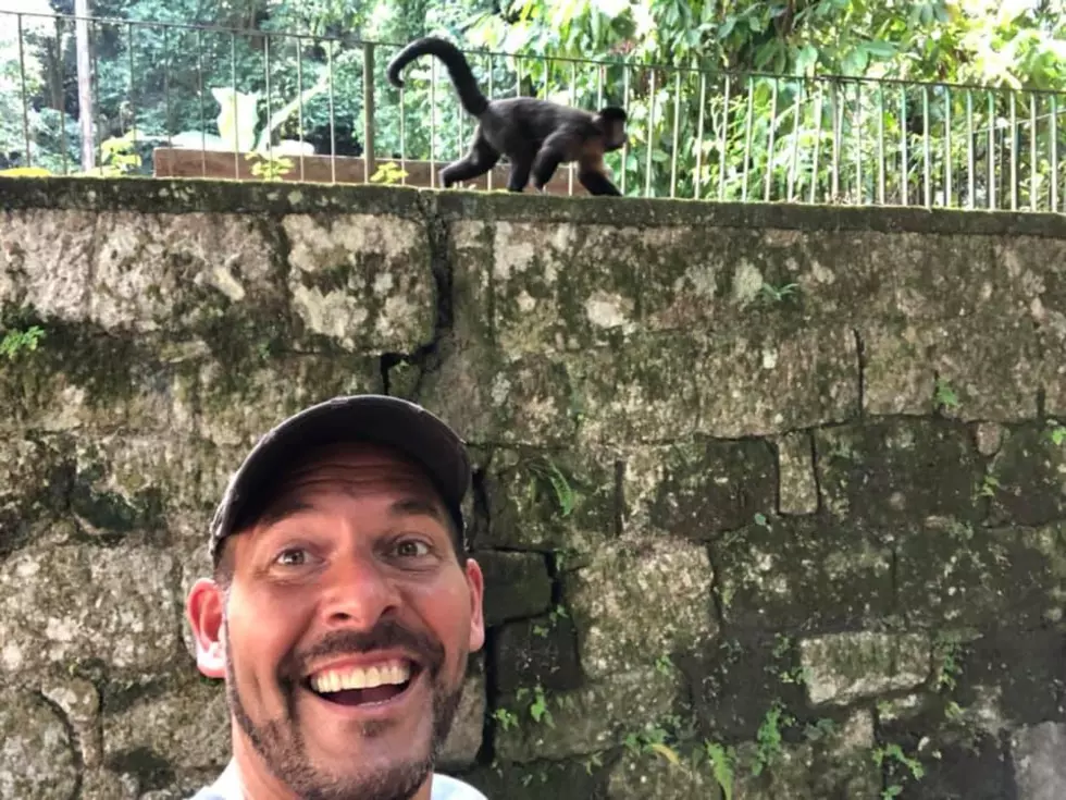 Adorable Monkey Photos from Chad’s Trip to Brazil [Gallery]