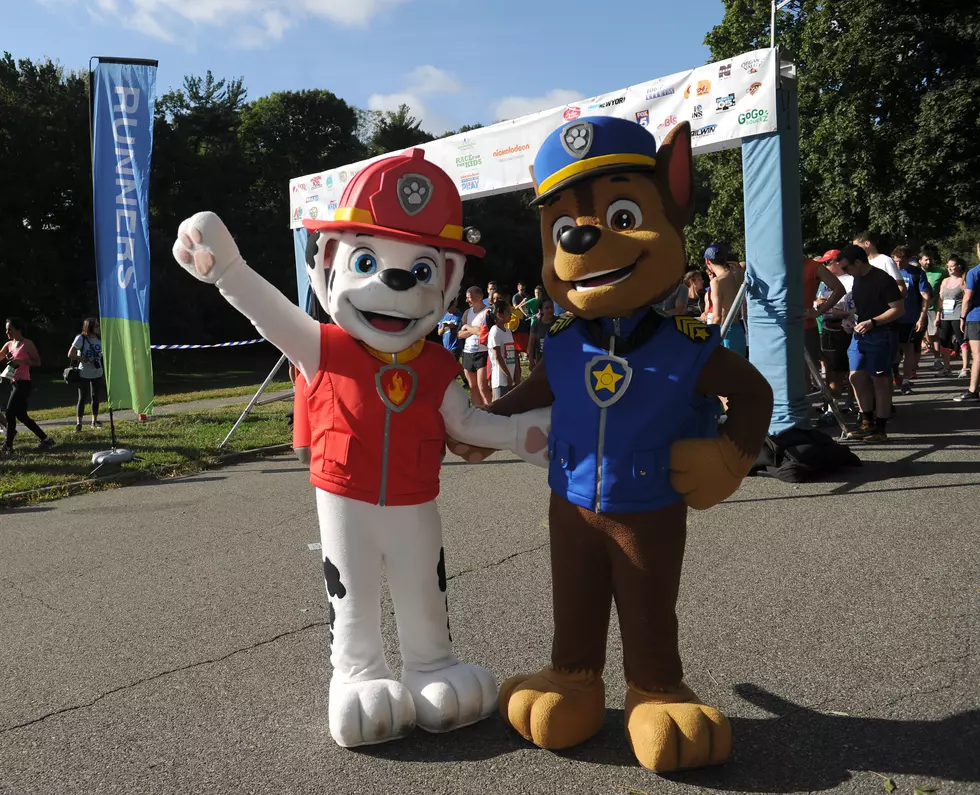 Paw Patrol Live Virtual Event Coming to Homes April 24-25