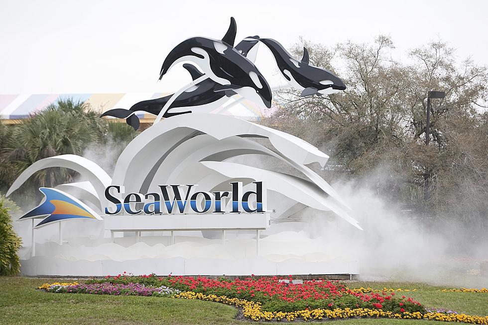 SeaWorld Parks Free Admission for Military and Their Families
