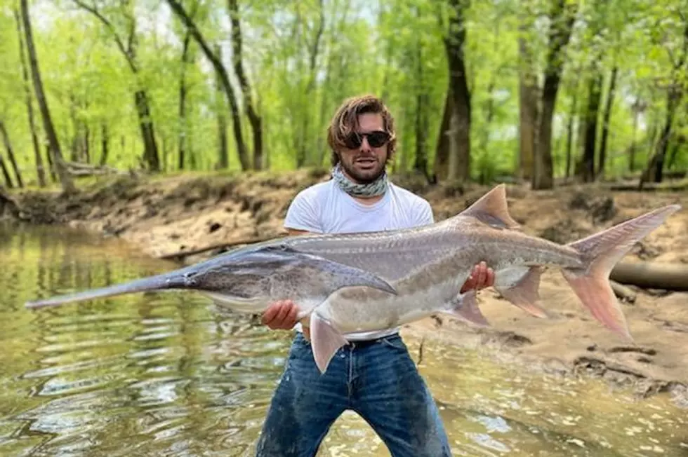 Tennessee Man Catches Five-Foot-Long Prehistoric Paddlefish
