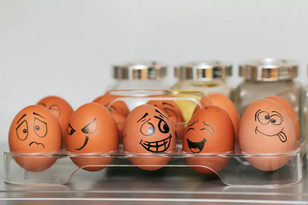 Eggcellent Poll! How Do You Like Your Eggs on National Egg Day?
