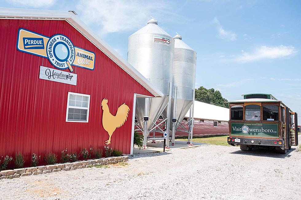 Hayden Farms in Whitesville Announces Big Plans for 2021 Fall Farm Market