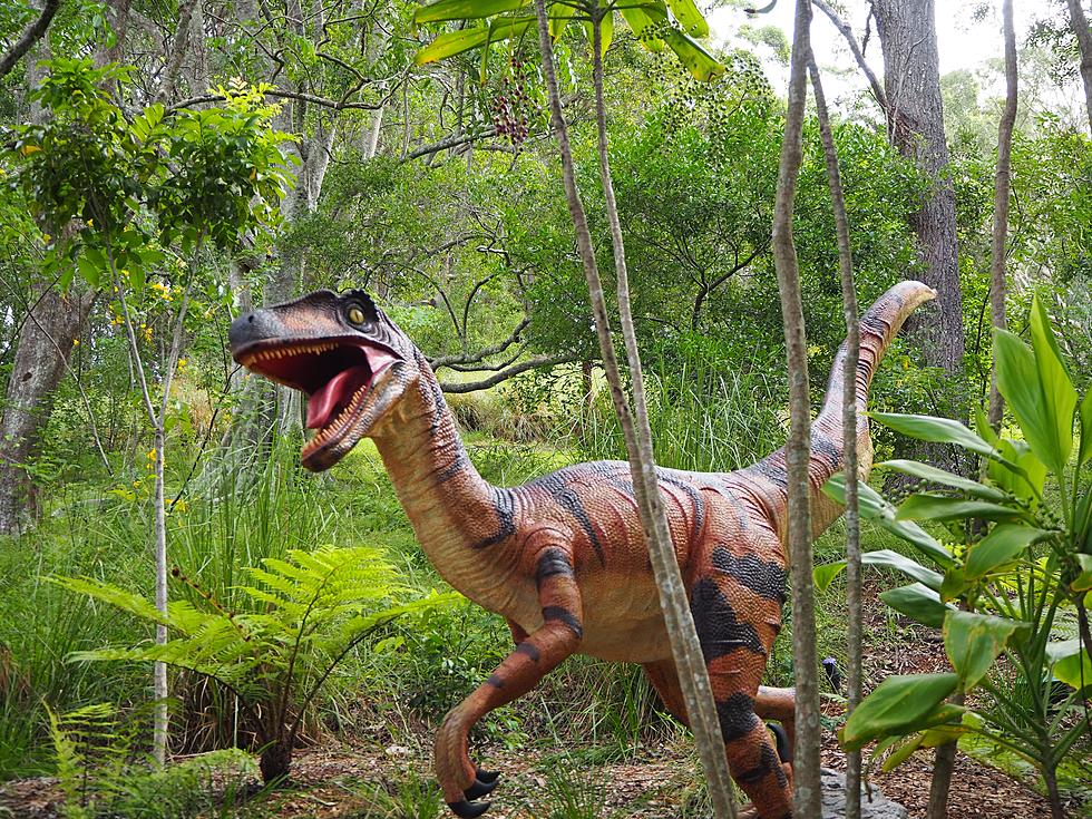 Get Excited! Dinosaur Invasion Coming to Owensboro