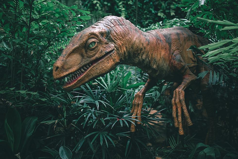 Kids' are Obsessed! Life-Size Dinosaurs are Coming to Town