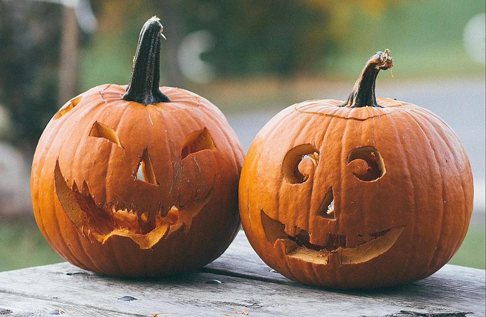 How to Keep Your Pumpkins From Rotting & Keep Wildlife Safe (VIDEO)