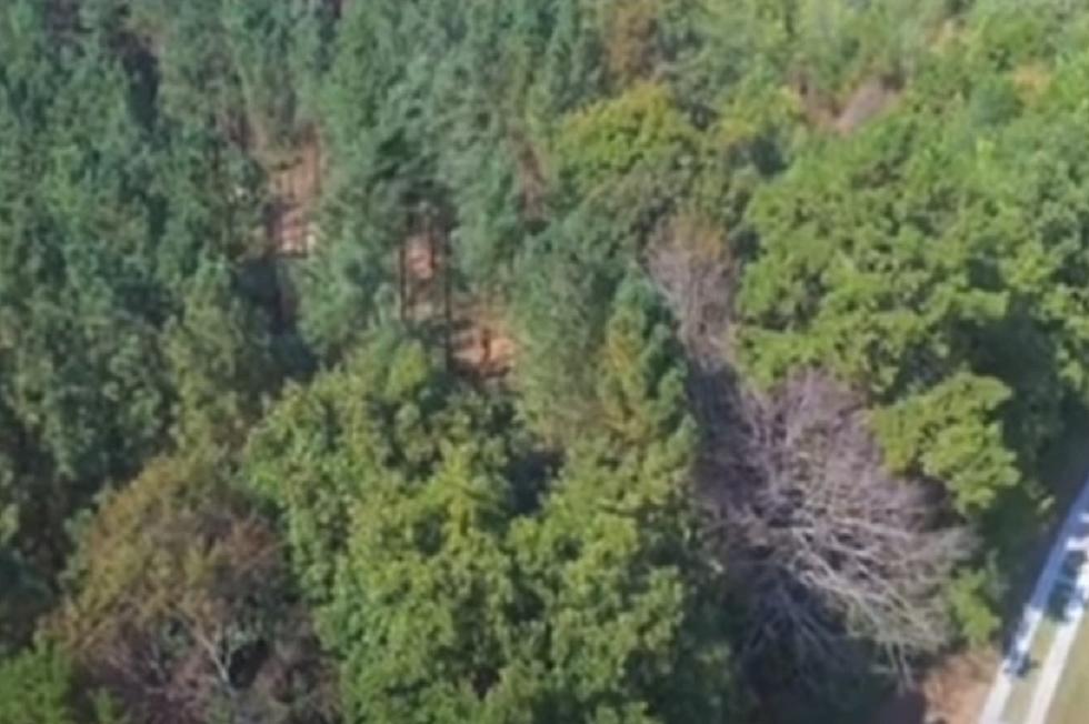 REAL OR FAKE: This Eerie ‘Disturbance’ in a Tennessee Forest Has Tongues Wagging [VIDEO]