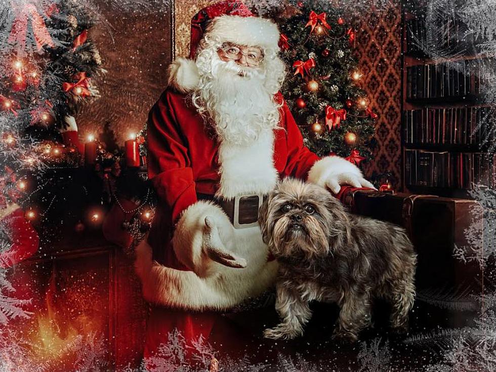 Here's How to Get Your Pet's Photo with Santa Claus