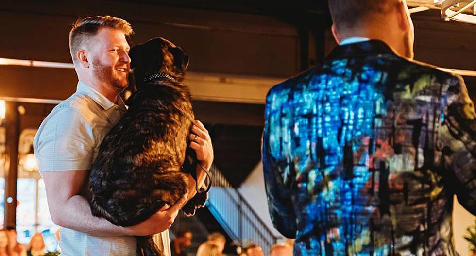 SPARKY's 2022 Bark in Style Fashion Show Set