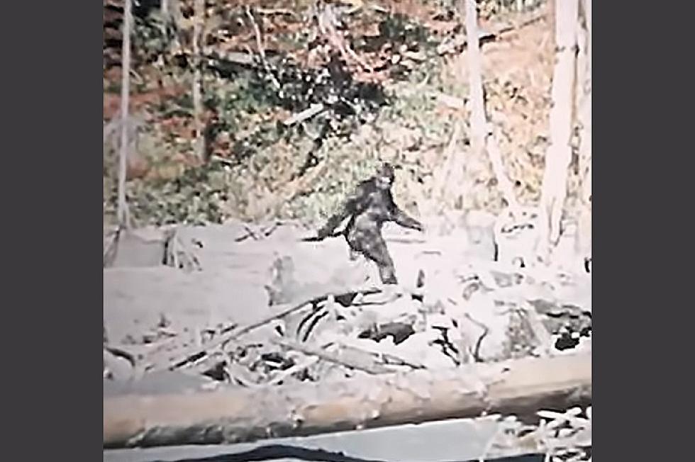 Still Can&#8217;t Find Bigfoot in Kentucky? Well, He Might Wind Up at the Bigfoot Festival in Ohio [VIDEOS]