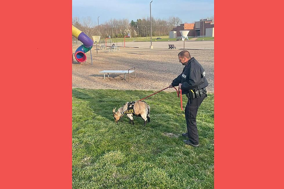 Tell City, Indiana Police Department’s ‘Police Goat’ Is Part of Hilarious April Fool’s Joke