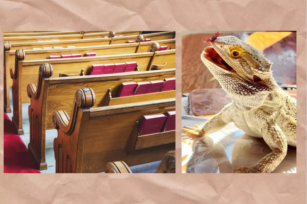 HILARIOUS: Kentucky Boy Snuck His Pet Lizard into Church on Mother’s Day