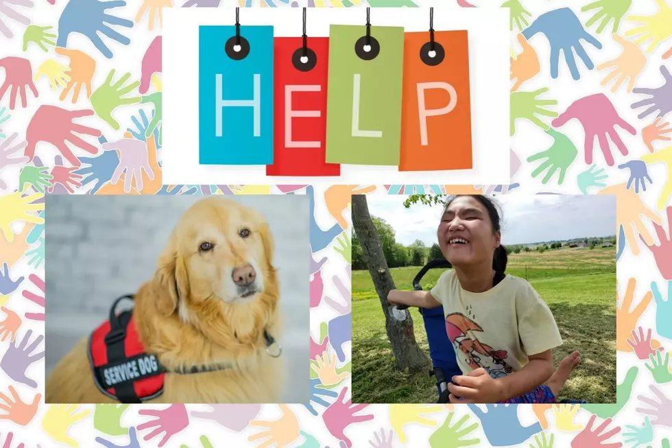 Here's How To Help Sarah Get A Much Needed Service Dog