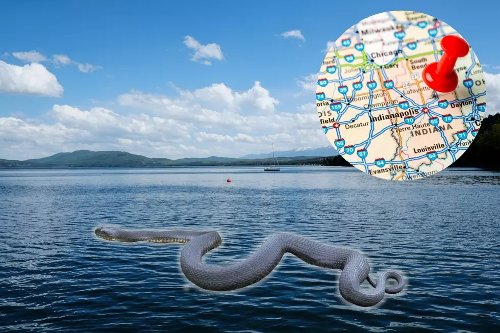 Huge Snake Discovered in IN Lake