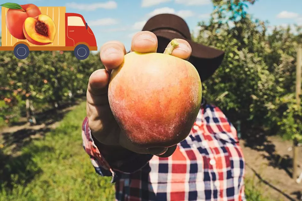 Juicy News! Peach Truck Rolls Into Nine Kentucky Cities