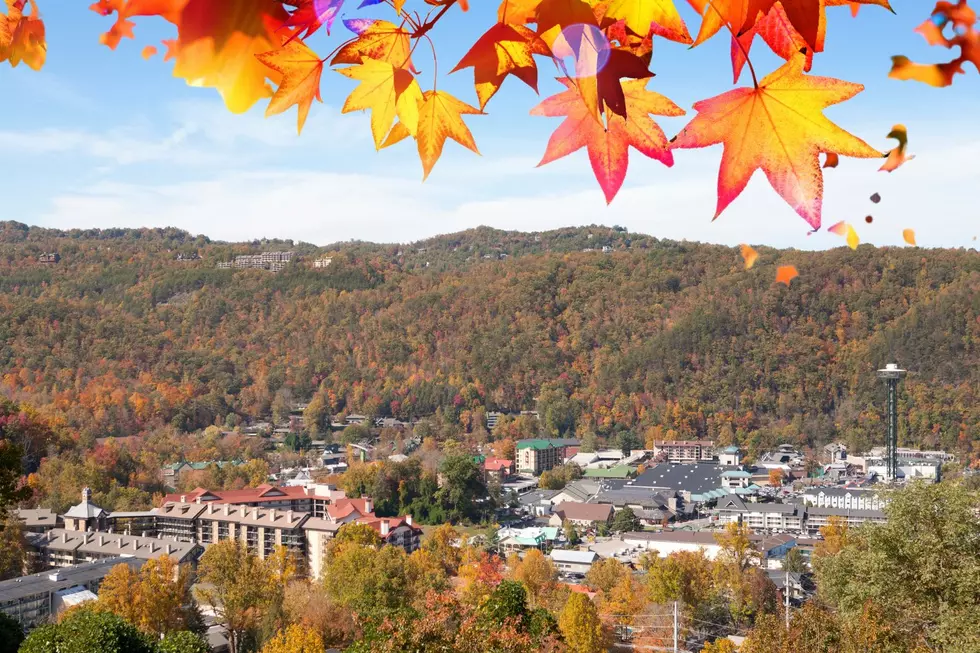 Smoky Mountains Fall Festivals and Events
