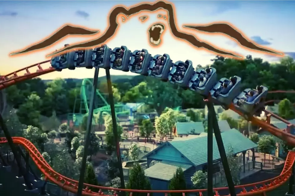 Thrilling New Dollywood Ride in 2023