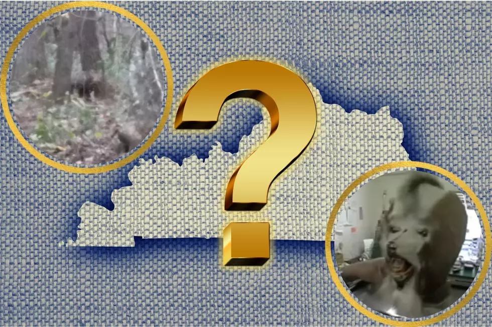 The Kentucky Wampus Cat…Fact, Folklore, or Both? [VIDEO]