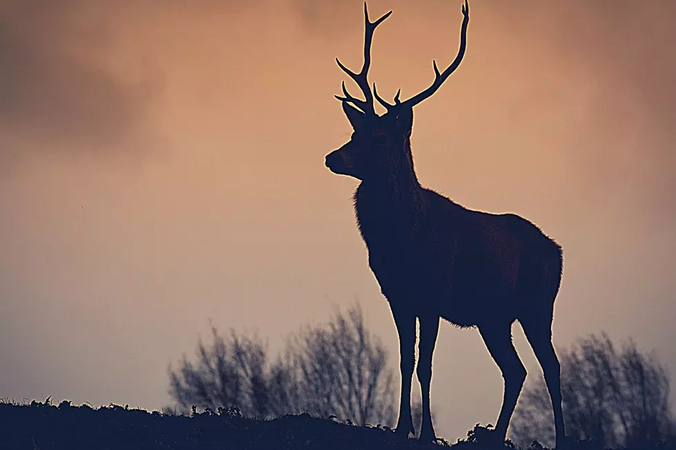 KY Deer Hunting Season -- Special Regulations