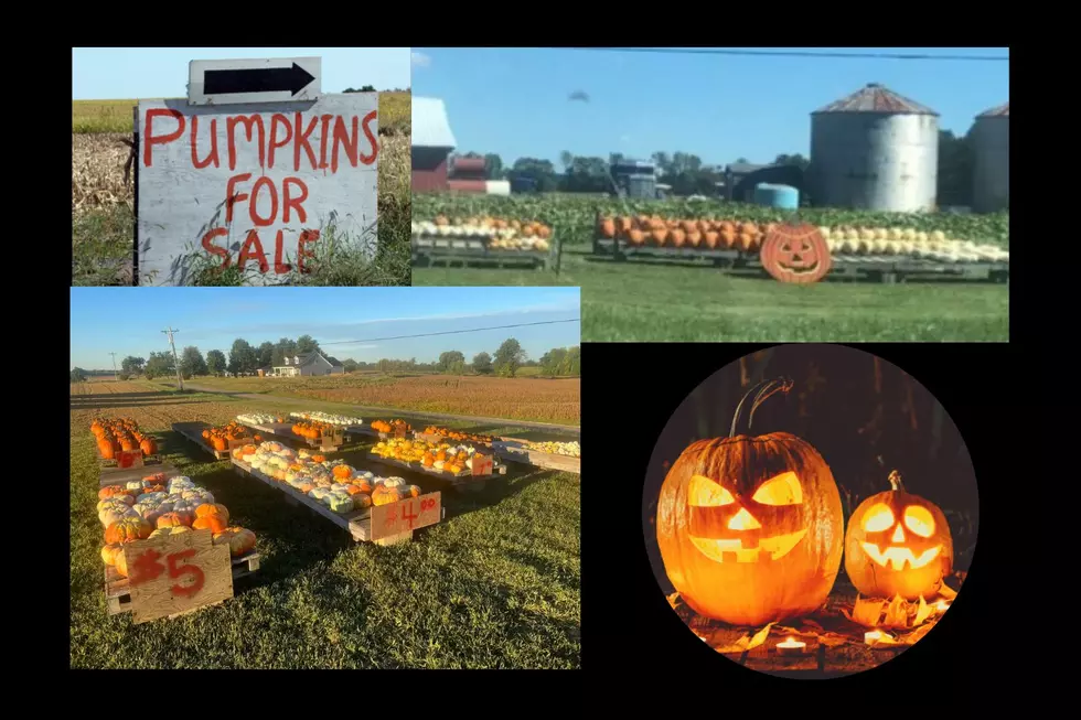 We&#8217;ve Found Some of the Cheapest &#038; Best Pumpkins in Daviess County Right Here (PHOTOS)
