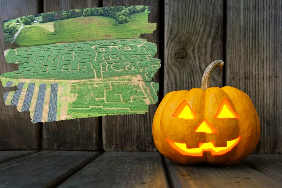 Western Kentucky Farm Creates Glow in the Dark Corn Maze for Some October Fun (PHOTOS)