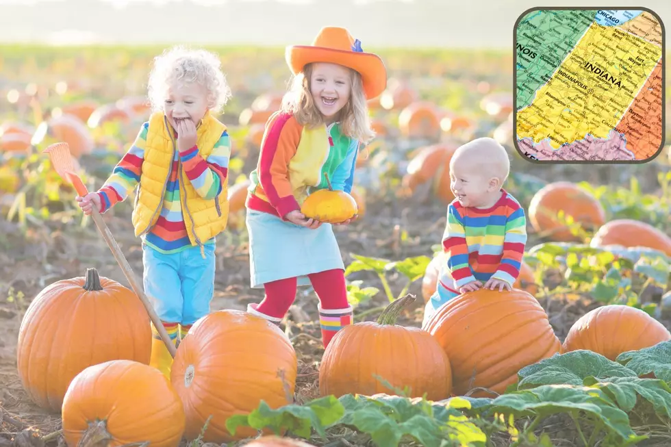 Indiana Farm Market Invites Families for FREE Kids Day Full of Pumpkins &#038; More