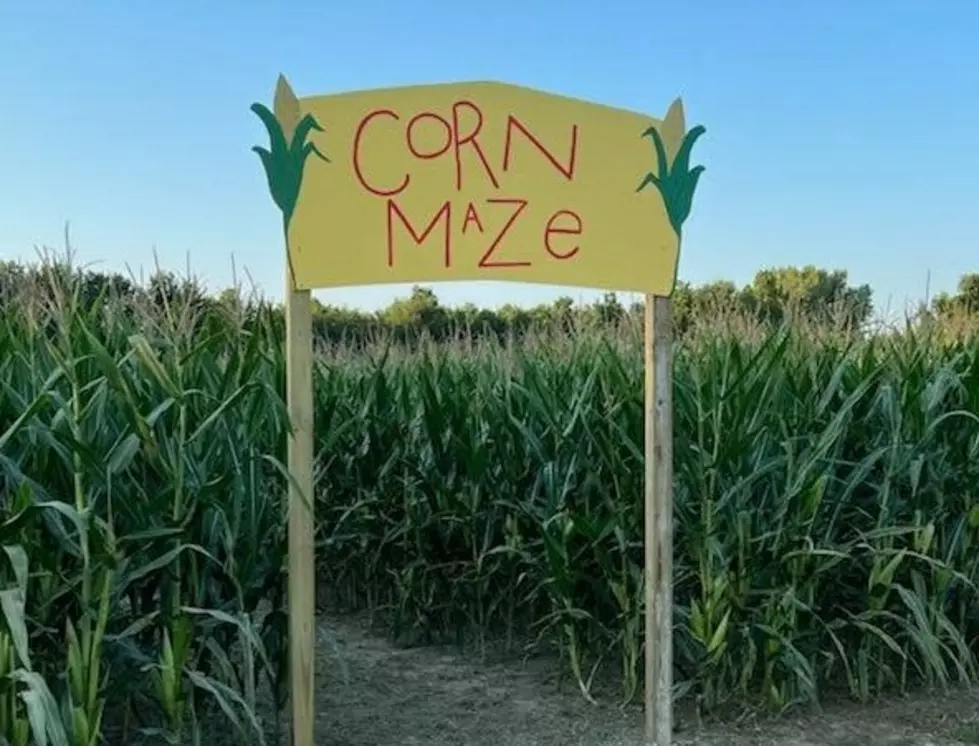 Go Trick-Or-Treating in a Corn Maze This Weekend