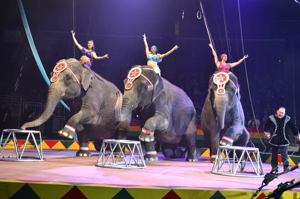 Win a Family 4-Pack of Tickets to the 2022 Hadi Shrine Circus in Evansville