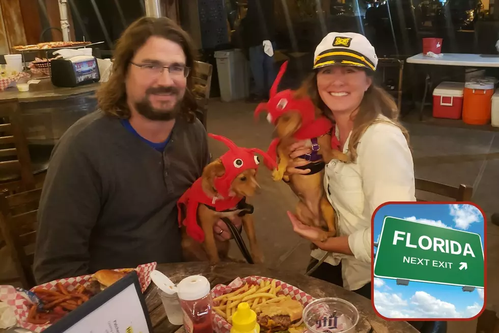 FUN: PCB Florida Sports Bar & Pub Invites You To Dine With Your Pups