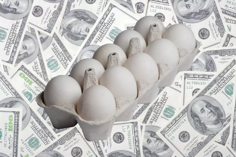 Why Eggs Are So Expensive in Kentucky &#038; 5 Things You Can Use Instead