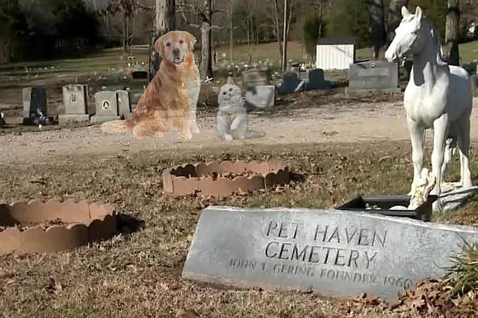 Kentucky is Home to a Real-Life Pet Cemetery