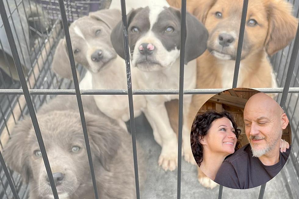 VIRAL: Kentucky Couple Rescues 6 Sweet Pups &#038; Names Them After Famous Music Artists