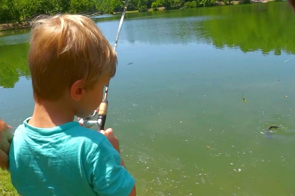 Owensboro KY Park Lakes to Be Stocked With Hundreds of Catfish