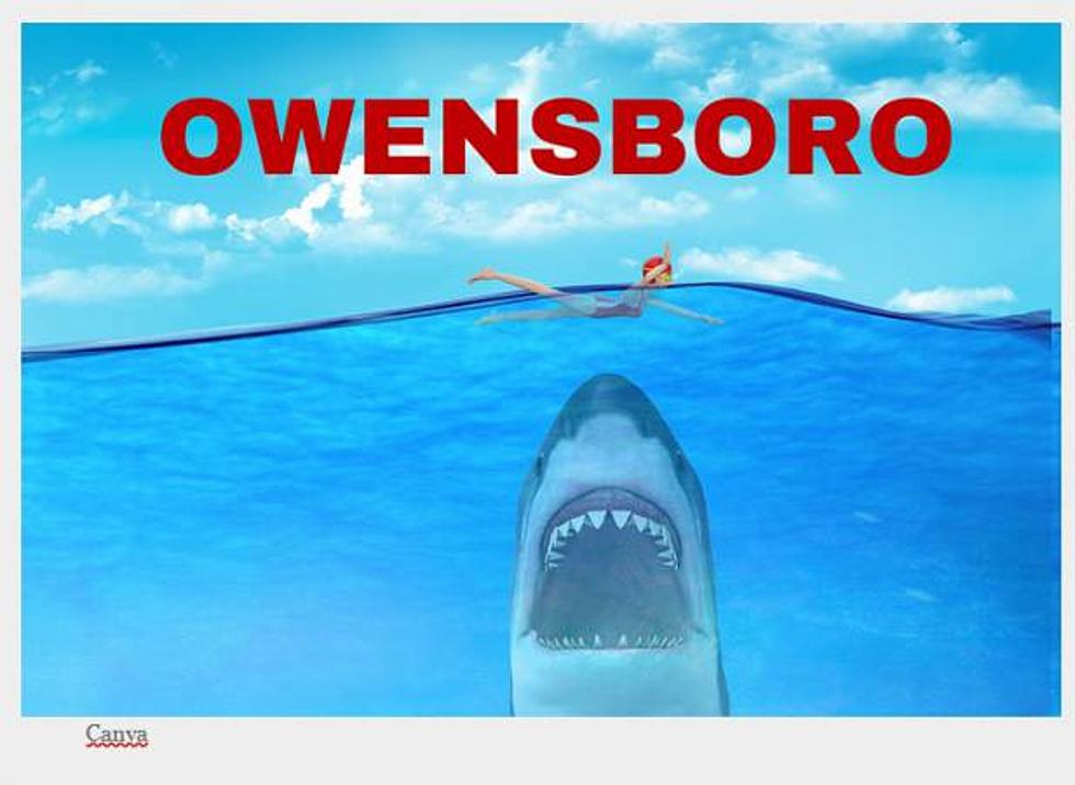 You Can Celebrate ‘Shark Week’ in Owensboro with ‘Jaws’ on the River