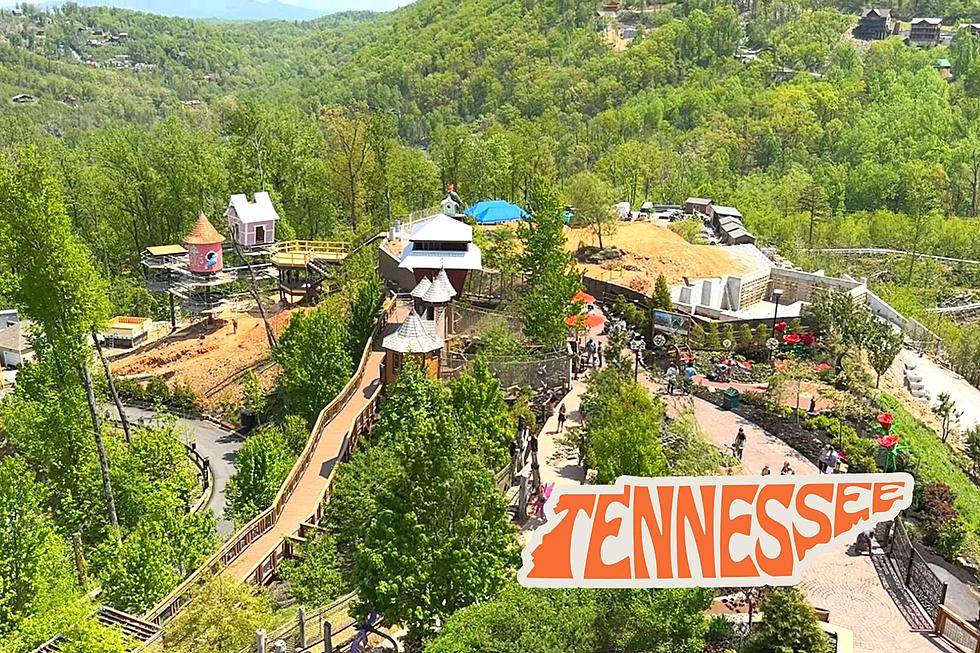 East TN Theme Park Adding Huge Four-Story BirdVenture Attraction, Mountain Coaster